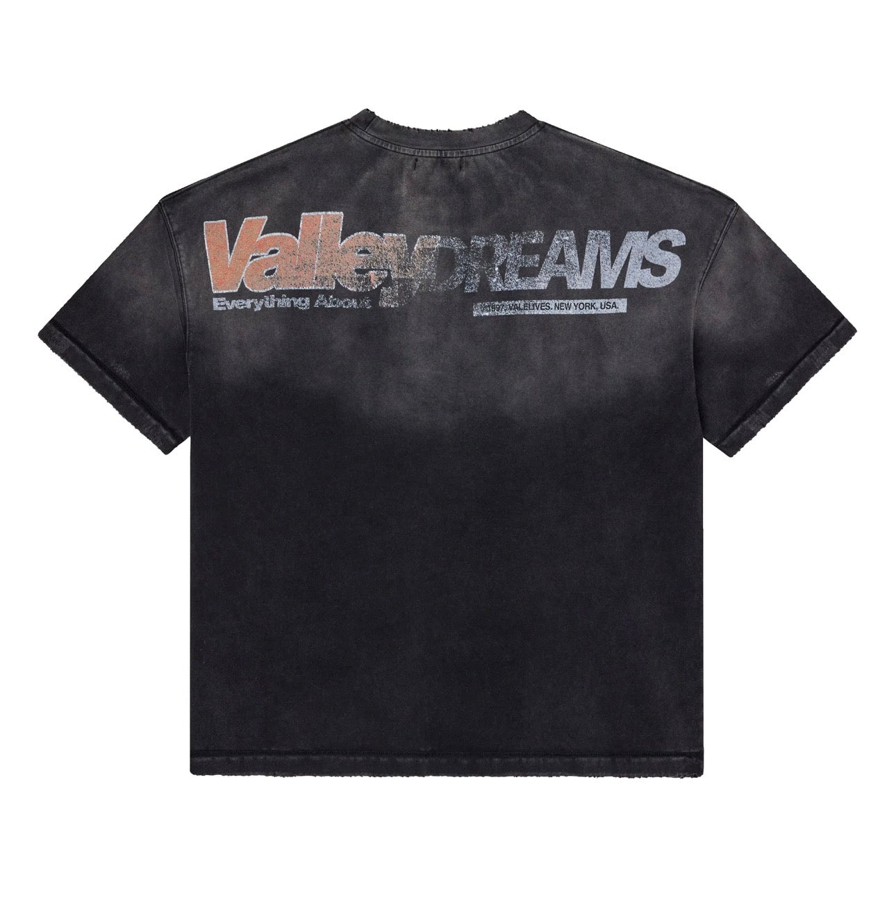 Valley Dreams Forever Stanley Tee